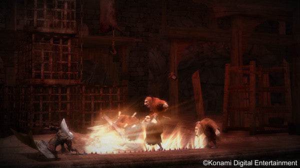 Castlevania Lords of Shadow – Mirror of Fate HD
